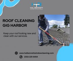 Expert Roof Cleaning Services in Gig Harbor – Revitalize Your Home’s Appearance