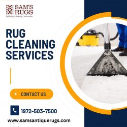 Here is Best Rug Cleaning Services with Sam’s Oriental Rugs.