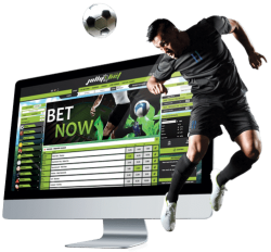 Sports Betting Software Development Company