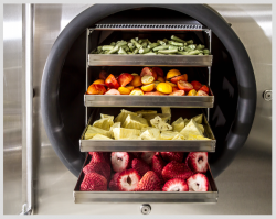 Discover The Best Food Preservation | Affordable Food Dryer Machine
