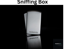 Nysberry – Elevate Your Experience With Exquisite Sniffing Boxes