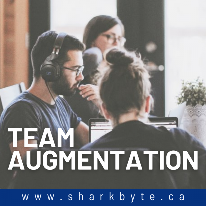 Staff Augmentation for Software Development | Sharkbyte