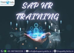 Successful Career For SAP HR Training in Noida at ShapeMySkills
