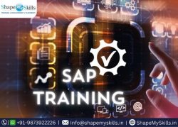 Successful Future with SAP Training in Noida at ShapeMySkills