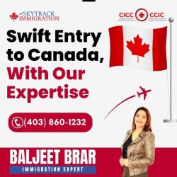 Fraud Prevention Tips: Express Entry Consultant in Calgary