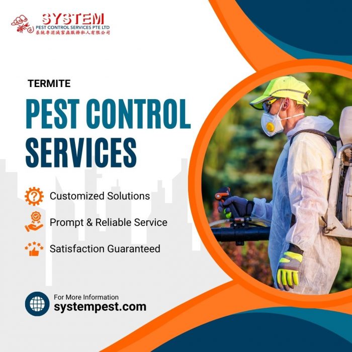 Effective Termite Control Services in Singapore