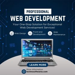 Finding the Right: Custom Web Development Services