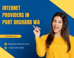 Top Internet Provider Near You – Fiber Internet Now