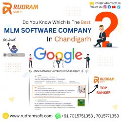 MLM Software Company in Chandigarh
