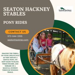 Tranquil Escapes: Unforgettable Pony Rides at Seaton Hackney