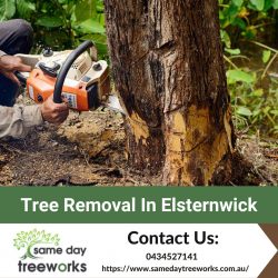 Safeguarding Spaces: Expert Tree Removal in Elsternwick for Safe and Efficient Solutions