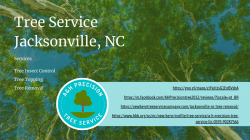 Tree Service Jacksonville, NC