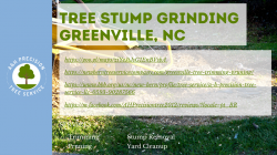 Tree Stump Grinding New Bern, NC
