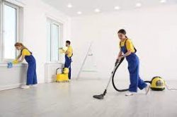 Revitalize and Refresh: Professional Carpet Cleaning in Melbourne