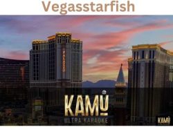 Experience Unrivaled Entertainment With KAMU Ultra Karaoke – VegasStarfish