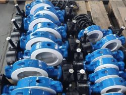 Wafer Butterfly Valve Manufacturer in India