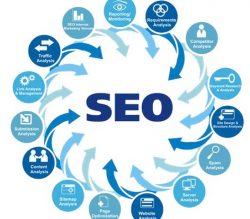 Unleashing the Power of Professional SEO Services for Your Website