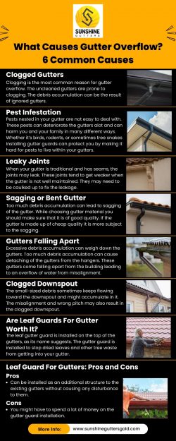 What Causes Gutter Overflow? 6 Common Causes