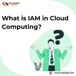 What is IAM in Cloud Computing?