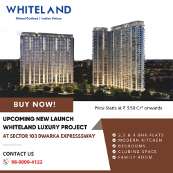 What Makes Whiteland Sector 103 Stand Out in the Real Estate Market?