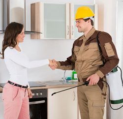 Commercial Pest Control in Thane: Safeguarding Businesses