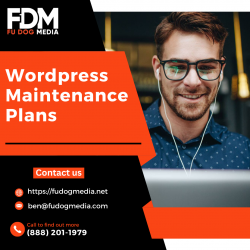 Step-by-Step Guide to Implementing WordPress Maintenance Plans