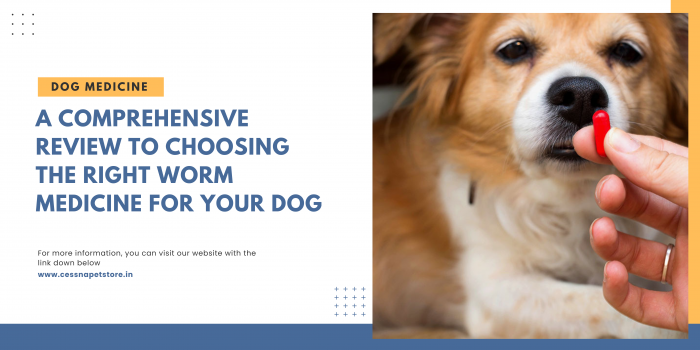 Choosing The Right Worm Medicine For Your Dog