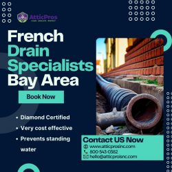Bay Area’s Water Warriors: French Drain Masters at Your Service
