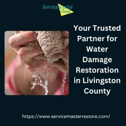 Your Trusted Partner for Water Damage Restoration in Livingston County