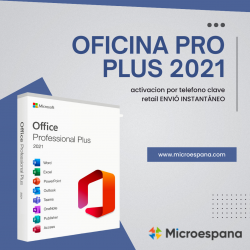 Ms Office 2021 Profesional Plus