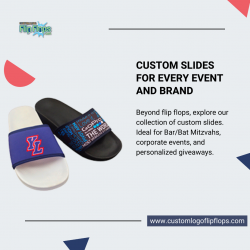 Custom Logo Slides