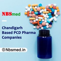 Discover Top Chandigarh-Based PCD Pharma Companies with NBSmed!