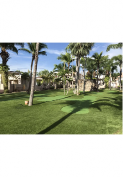 Golf Grass