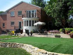 Golf Grass