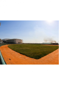 Baseball Turf