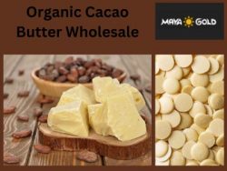 Purity In Each Batch Of Organic Cacao Butter Wholesale From Maya Gold Trading