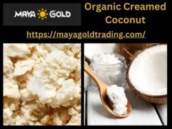Maya Gold Trading Organic Creamed Coconut – A Delightful Flavor