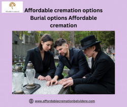 Budget-Friendly Cremation and Burial