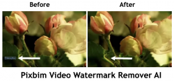 How to Remove Logos and Watermarks from Videos with Pixbim Video Watermark Remover AI