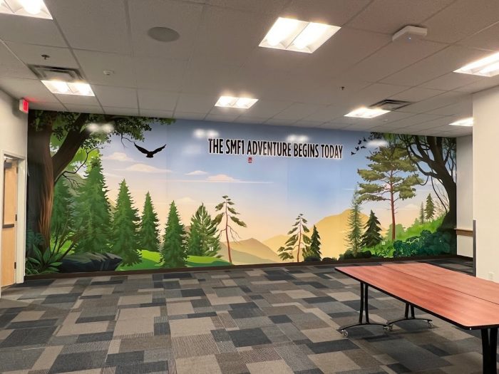Redefine Your Space with Striking Wall Murals in Rancho Cordova