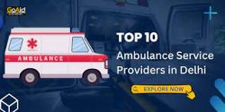 Key Benefits of Using Private Ambulance Services in Delhi.