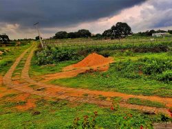 Farmland Bliss Awaits – Buy Farmland Near Bangalore with Anugraha Farms.