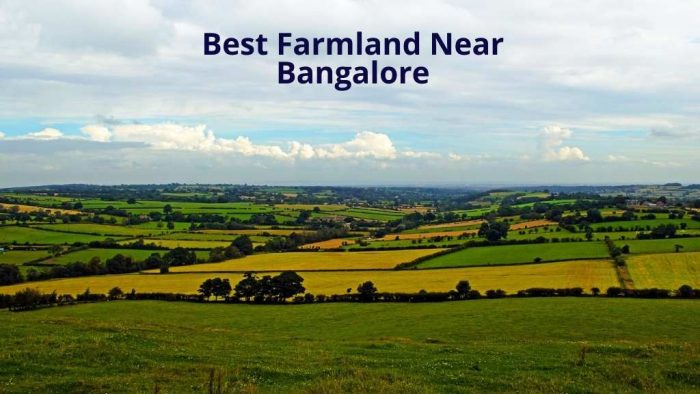 Sow, Grow, Prosper: Best Managed Farmland near Bangalore at Anugraha Farms.