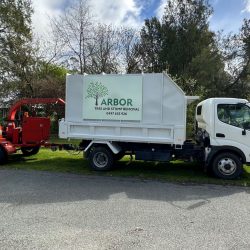 Arbor Tree and Stump Removal’s Professional Standards