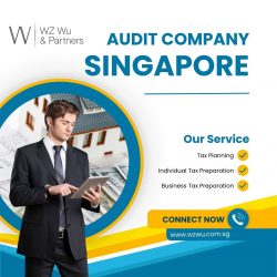 Choosing the Right Audit Company in Singapore: A Comprehensive Guide