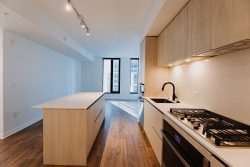 1 Bedroom + Den