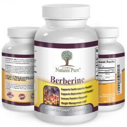 Read Here Purchasing Guidelines Of This Nature’s Pure Berberine