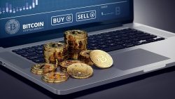 Discover the Best Cryptocurrency Guide for Beginners