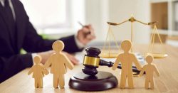 Hire the Best Family Lawyers in Delhi for Family Matters