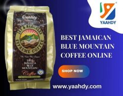 Best Jamaican Blue Mountain Coffee Online